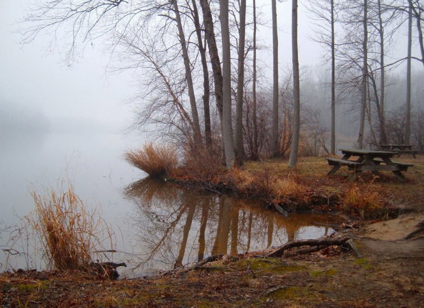 Lums Pond State Park, Delaware, USA